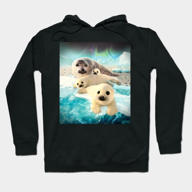 Grey Seals Hoodie by David Penfound Artworks